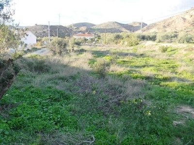 Land for sale in Albox, Almeria